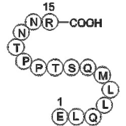 Apexbio Technology LLC&nbsp;Fusion glycoprotein (92-106) [Human respiratory syncytial virus] 1mg
