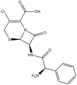 Apexbio Technology LLC&nbsp;Cefaclor 53994-73-3 5g