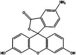 Apexbio Technology LLC 5-Aminofluorescein 3326-34-9 1g, Quantity: Pack