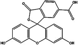 Apexbio Technology LLC&nbsp;6-FAM 3301-79-9 100mg