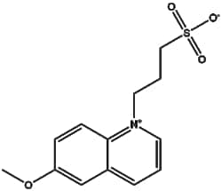 Apexbio Technology LLC&nbsp;SPQ 83907-40-8 100mg
