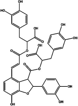 Apexbio Technology LLC&nbsp;Salvianolic acid B 115939-25-8; 121521-90-2   20mg