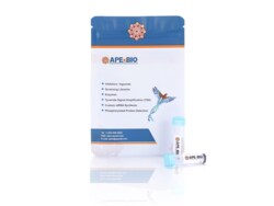 Apexbio Technology LLC Anti-TNFRSF10B/TRAILR2/CD262 Antibody (Tigatuzumab)