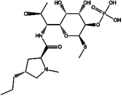 Apexbio Technology LLC&nbsp;Clindamycin Phosphate 24729-96-2 50mg