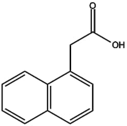 Apexbio Technology LLC&nbsp;1-Naphthaleneacetic acid 86-87-3 1g