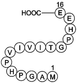 Apexbio Technology LLC&nbsp;NFAT Inhibitor 249537-73-3 1mg
