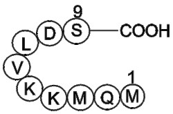 Apexbio Technology LLC&nbsp;Anti-Inflammatory Peptide 1 118850-71-8 5mg