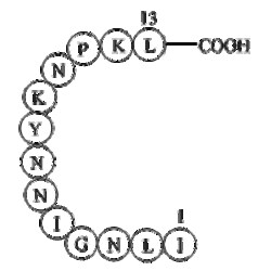 Apexbio Technology LLC&nbsp;β-Interleukin II (44-56) 5mg