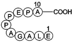 Apexbio Technology LLC&nbsp;Beta-Lipotropin (1-10), porcine 77875-68-4 5mg