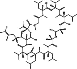 Apexbio Technology LLC&nbsp;Cyclosporin D 63775-96-2 5mg