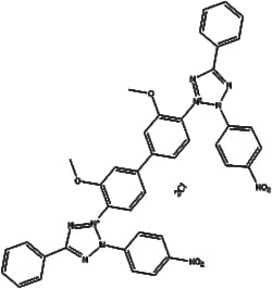 Apexbio Technology LLC&nbsp;Nitrotetrazolium Blue chloride 298-83-9 5g