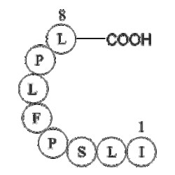 Apexbio Technology LLC&nbsp;surface antigen (208-215) [Hepatitis B Virus] 1mg