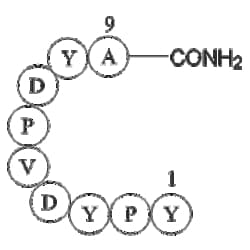 hemagglutinin precursor (114-122) amide [Influenza A virus] 5mg