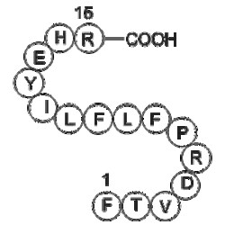 Apexbio Technology LLC heparin cofactor II precursor (SERPIND1) fragment