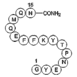 Apexbio Technology LLC&nbsp;Amyloid Precursor C-Terminal Peptide 5mg