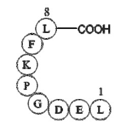 Apexbio Technology LLC&nbsp;eukaryotic translation elongation factor 1 alpha 1 (EEF1A1) (387-394) [Multiple species] 1mg