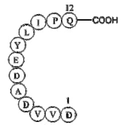 Apexbio Technology LLC&nbsp;Epidermal Growth Factor Receptor Peptide (985-996) 96249-43-3 10mg