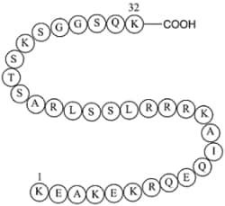 S6 Kinase Substrate Peptide 32 1mg
