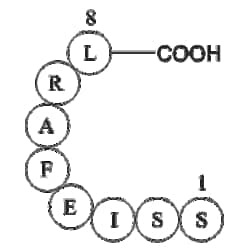 Apexbio Technology LLC&nbsp;Glycoprotein B (485-492) 25mg
