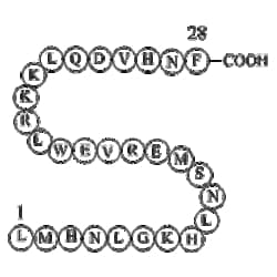Apexbio Technology LLC&nbsp;parathyroid hormone (7-34) [Homo sapiens]/[Macaca fascicularis] 5mg