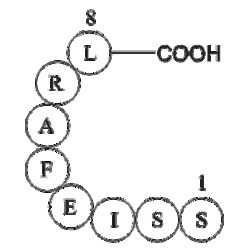 Apexbio Technology LLC&nbsp;Glycoprotein B (485-492) 1mg