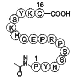 Apexbio Technology LLC&nbsp;Nitric Oxide Synthase (599-613) Blocking Peptide, Bovine Endothelial Cell 5mg