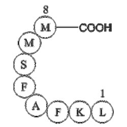 Apexbio Technology LLC&nbsp;Influenza A virus fragment 1mg