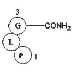 Apexbio Technology LLC&nbsp;Melanocyte stimulating hormone release inhibiting factor 2002-44-0 5mg