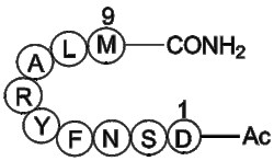 Epidermal growth factor receptor (994-1002) acetyl/amide 5mg