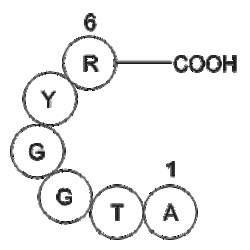 Apexbio Technology LLC prostate apoptosis response protein PAR-4 (2-7)