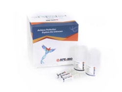 Apexbio Technology LLC&nbsp;Native-PAGE Gel Preparation and Electrophoresis Kit (PI ≤ 7.0) 50tests