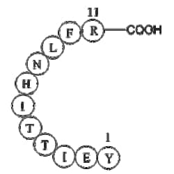 Apexbio Technology LLC heparin cofactor II precursor fragment [Homo sapiens]