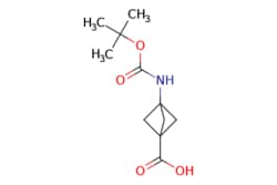 eMolecules​&nbsp;303752-38-7 | 3-((tert-Butoxycarbonyl)amino)bicyclo[1.1.1]pentane-1-carboxylic acid | ChemScene | MFCD09971715 | 227.260 | C11H17NO4 | 97.000 | CC(C)(C)OC(=O)NC12CC(C1)(C2)C(O)=O | 250mg | 572227180