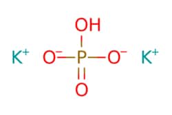 eMolecules​&nbsp;7758-11-4 | Potassium phosphate dibasic, Fine granular, Low heavy metals (As: <= 1 ppm, Cd: <= 1 ppm, Pb: <= 1 p | Chem-Impex | MFCD00011383 | 174.174 | HK2O4P | 99.000 | [K+].[K+].OP([O-])([O-])=O | 10kg | 603115214