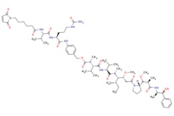 eMolecules​&nbsp;Ambeed  VcMMAE  250mg  526389978  A153774  0 000  646502-53-6  MFCD25372036  1316 650  C68H105N11O15