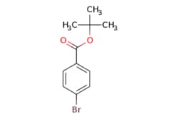 eMolecules​&nbsp;59247-47-1 | tert-butyl 4-bromobenzoate | Pharmablock | MFCD00093266 | 257.127 | C11H13BrO2 | 97.000 | CC(C)(C)OC(=O)c1ccc(Br)cc1 | 500mg | 551155229