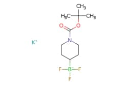eMolecules​&nbsp;Combi-Blocks  Inc   Potassium (1-(tert-butoxycarbonyl)piperidin-4-yl)trifluoroborate  250mg  837470886  QN-9706  95 000  1430219-71-8  MFCD18711957  291 160  C10H18BF3KNO2