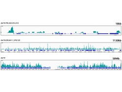ABclonal Technology&nbsp;HMGB2 Rabbit mAb