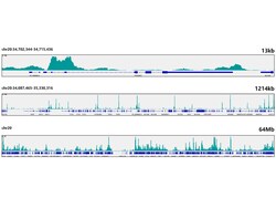 ABclonal Technology&nbsp;JunD Rabbit mAb