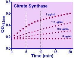 Bioassay Systems&nbsp;QuantiChrom&trade; Citrate Synthase Assay Kit, Direct assays of citrate synthase activity in cell lysates, tissues, and other biological samples.