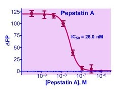 Bioassay Systems&nbsp;QuantiFluo&trade; Pepsin Inhibitor Assay Kit, For evaluation of drugs and screening of potential inhibitors to pepsin proteases.