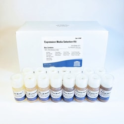 ATHENA ES&nbsp;NEW Expression Media Optimization Kit, ready-to-use, 15 mL each media
