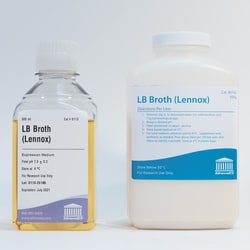 ATHENA ES&nbsp;LB (Lennox)