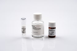 Cytiva&nbsp;Biacore cap-tag conjugation kit
