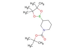 eMolecules​&nbsp;1312713-37-3 | 1-Boc-piperidine-3-boronic acid pinacol ester | J & W PharmLab LLC | MFCD25509459 | 311.230 | C16H30BNO4 | 96.000 | CC(C)(C)OC(=O)N1CCCC(C1)B1OC(C)(C)C(C)(C)O1 | 1g | 548147701
