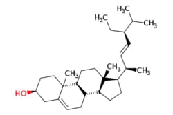 eMolecules​&nbsp;83-48-7 | Stigmasterol | Broadpharm | MFCD00003630 | 412.702 | C29H48O | 0.000 | CC[C@H](\C=C\[C@@H](C)[C@H]1CC[C@H]2[C@@H]3CC=C4C[C@@H](O)CC[C@]4(C)[C@H]3CC[C@]12C)C(C)C | 1g | 809115460