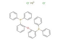 eMolecules​&nbsp;205319-06-8 | Dichloro[bis(diphenylphosphinophenyl)ether]palladium(II) | Accela ChemBio (ASD)715.890 | C36H28Cl2OP2Pd | 95.000 | [Cl-].[Cl-].[Pd++].O(c1ccccc1P(c1ccccc1)c1ccccc1)c1ccccc1P(c1ccccc1)c1ccccc1 | 0.25g | 705599820