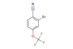 eMolecules​&nbsp;1214334-83-4 | 2-Bromo-4-(trifluoromethoxy)benzonitrile | ChemScene | MFCD13185874 | 266.017 | C8H3BrF3NO | 97.000 | FC(F)(F)Oc1ccc(C#N)c(Br)c1 | 10g | 572239899