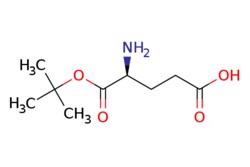 eMolecules​&nbsp;45120-30-7 | H-Glu-OtBu | ChemScene | MFCD00038562 | 203.238 | C9H17NO4 | 95.000 | CC(C)(C)OC(=O)[C@@H](N)CCC(O)=O | 5g | 536860652