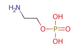 eMolecules​&nbsp;1071-23-4 | O-Phosphorylethanolamine | Chemodex Ltd. | MFCD00008178 | 141.063 | C2H8NO4P | 98.000 | NCCOP(O)(O)=O | 25g | 482921570